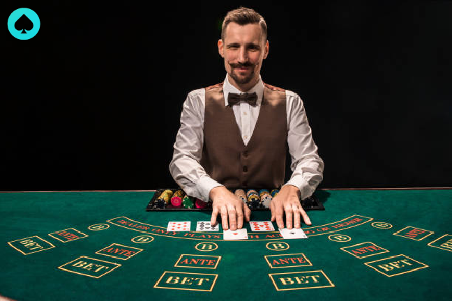 pino casino